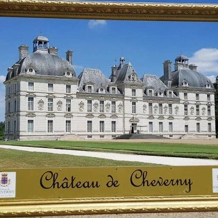 Les Capucines Proche Beauval & Chateaux แซ็ง-เตญ็อง ภายนอก รูปภาพ