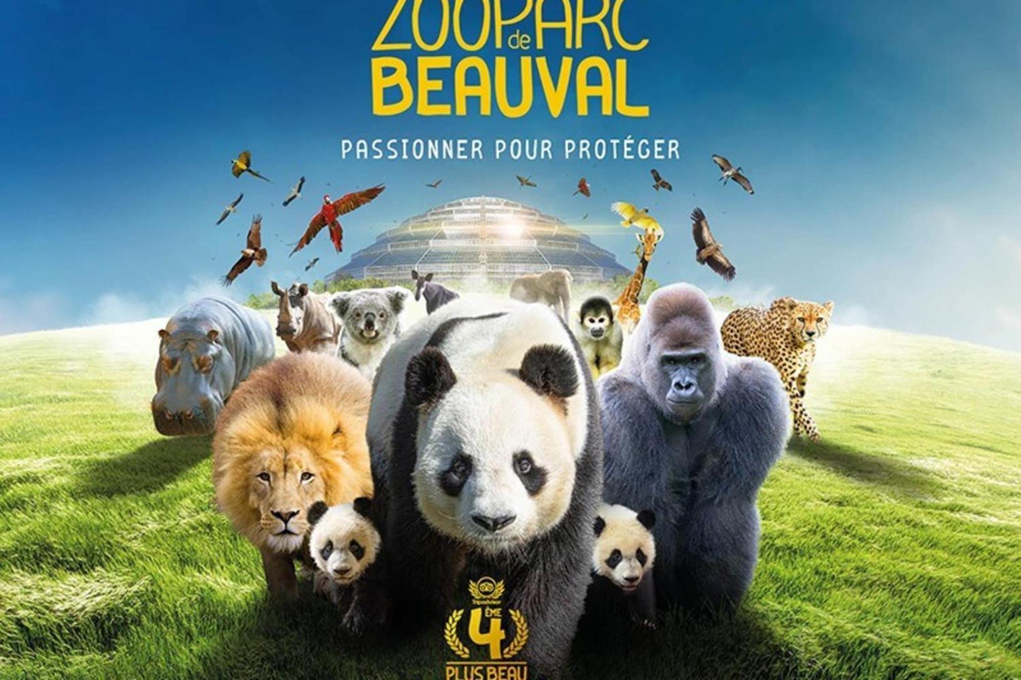 Les Capucines Proche Beauval & Chateaux แซ็ง-เตญ็อง ภายนอก รูปภาพ